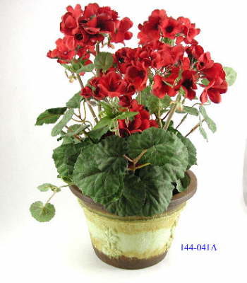 DSCN7700_1