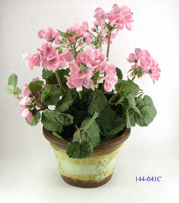 DSCN7702_1