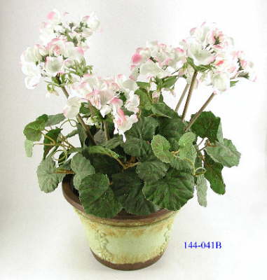 DSCN7706_1