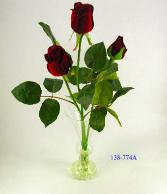 DSCN7709_1