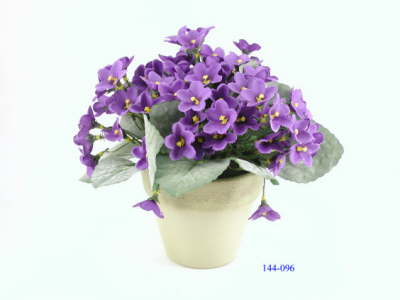 DSCN7711_1