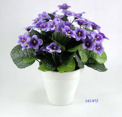 DSCN7714_1