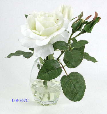 DSCN7718_1