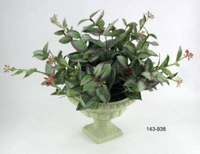 DSCN7723_1