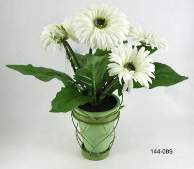DSCN7727_1