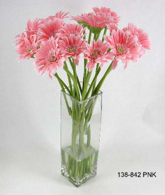 DSCN7731_1
