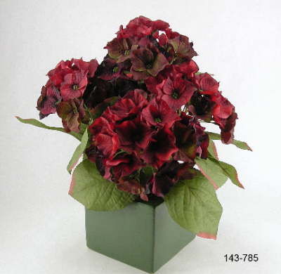 DSCN7744_1