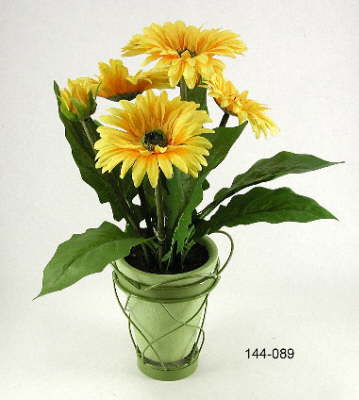 DSCN7745_1