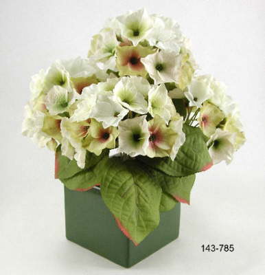 DSCN7754_1