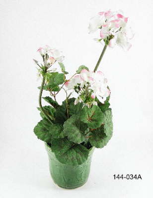 DSCN7782_1