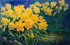 Spring-Beatuies
