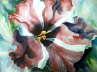 Starship_Petunia